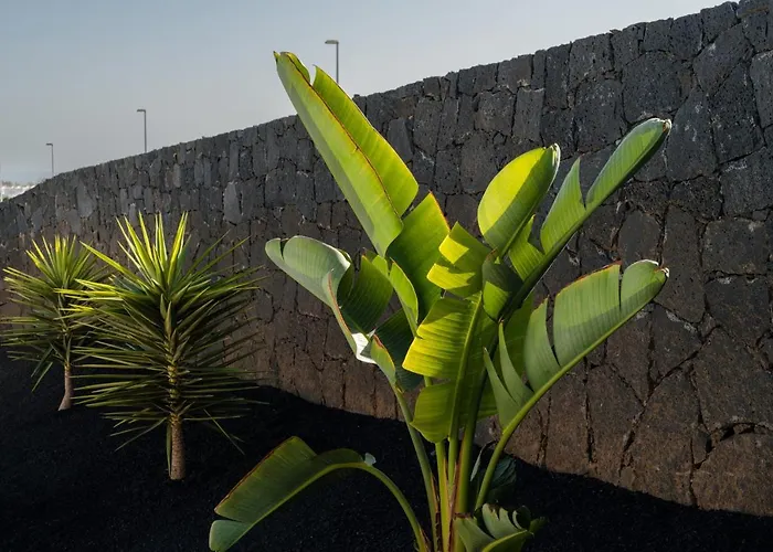 Altos De Lanzarote 빌라 플라야블랑카